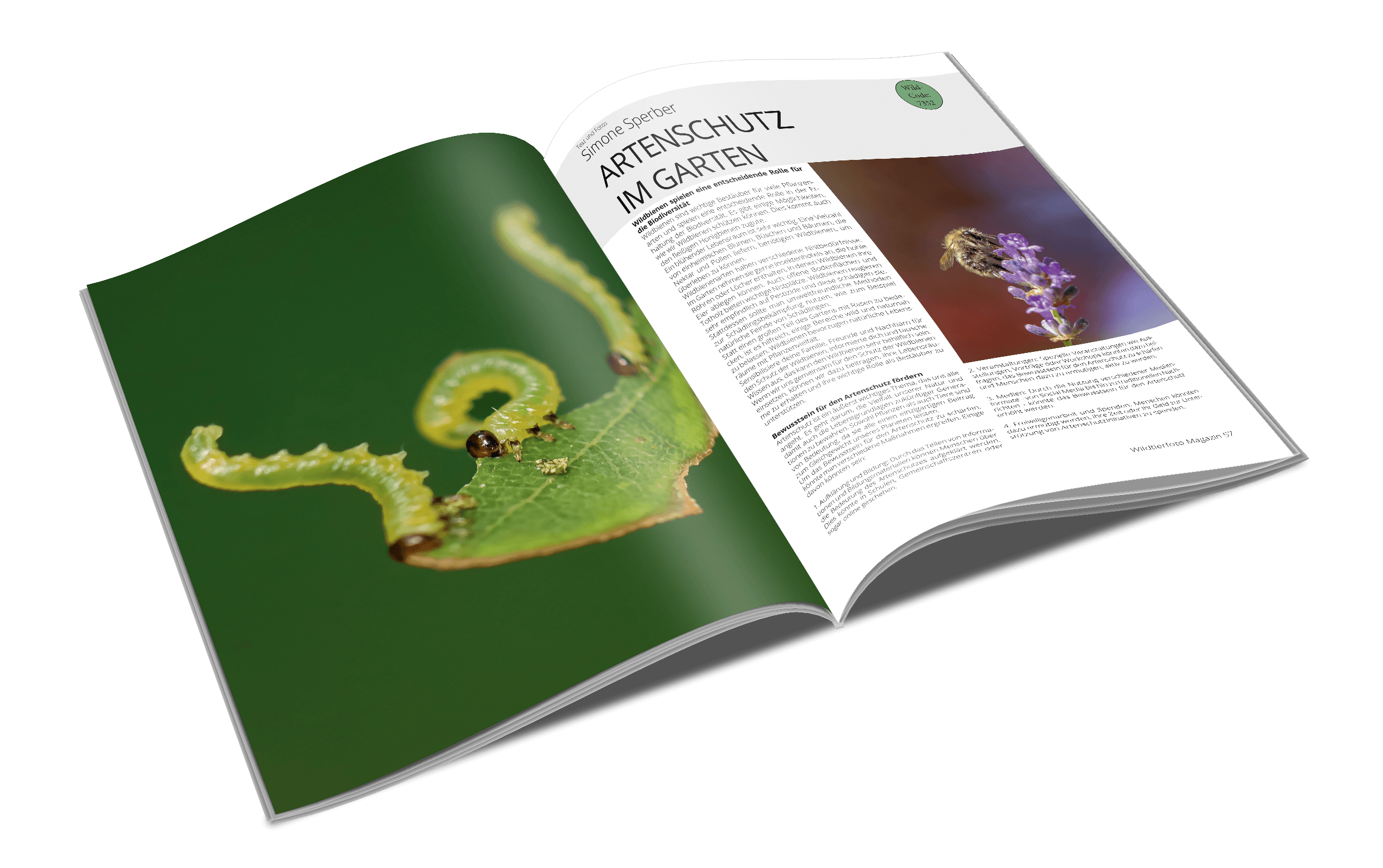 MR11 - Simone Sperber Wildtierfoto Magazin #2 - Arten-Vielfalt -