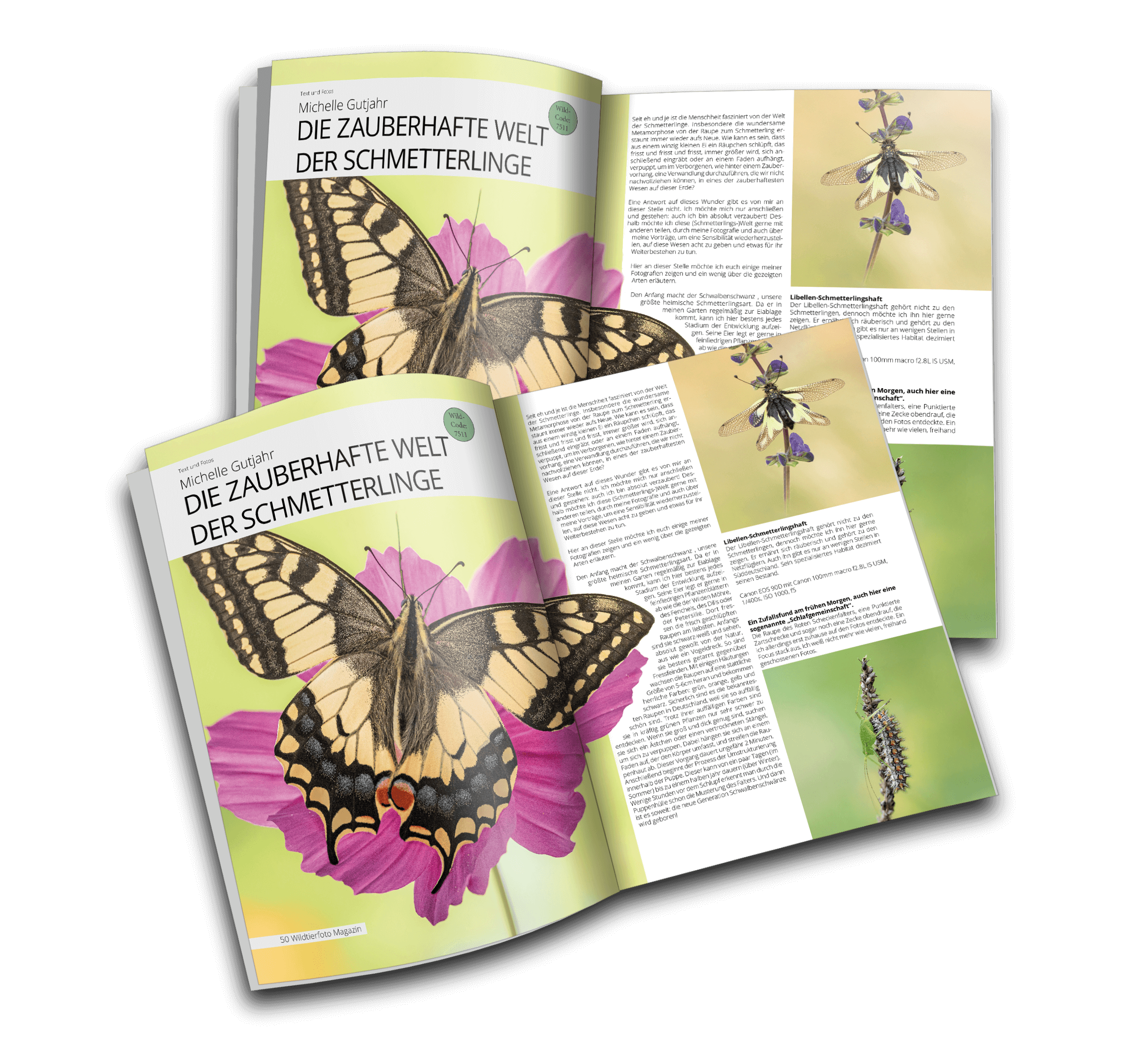 MR14 - Michelle Gutjahr Wildtierfoto Magazin #2 - Arten-Vielfalt -