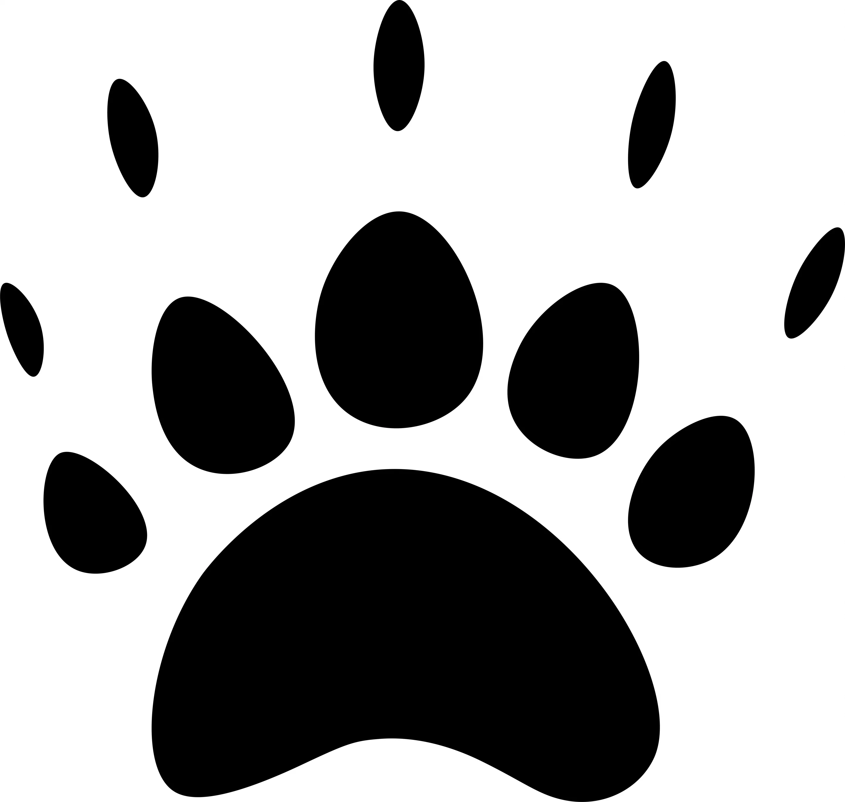 Dachs Spur Pfotenabdruck Dachs Spur von Wildbrücke - Wildtiere in Deutschland