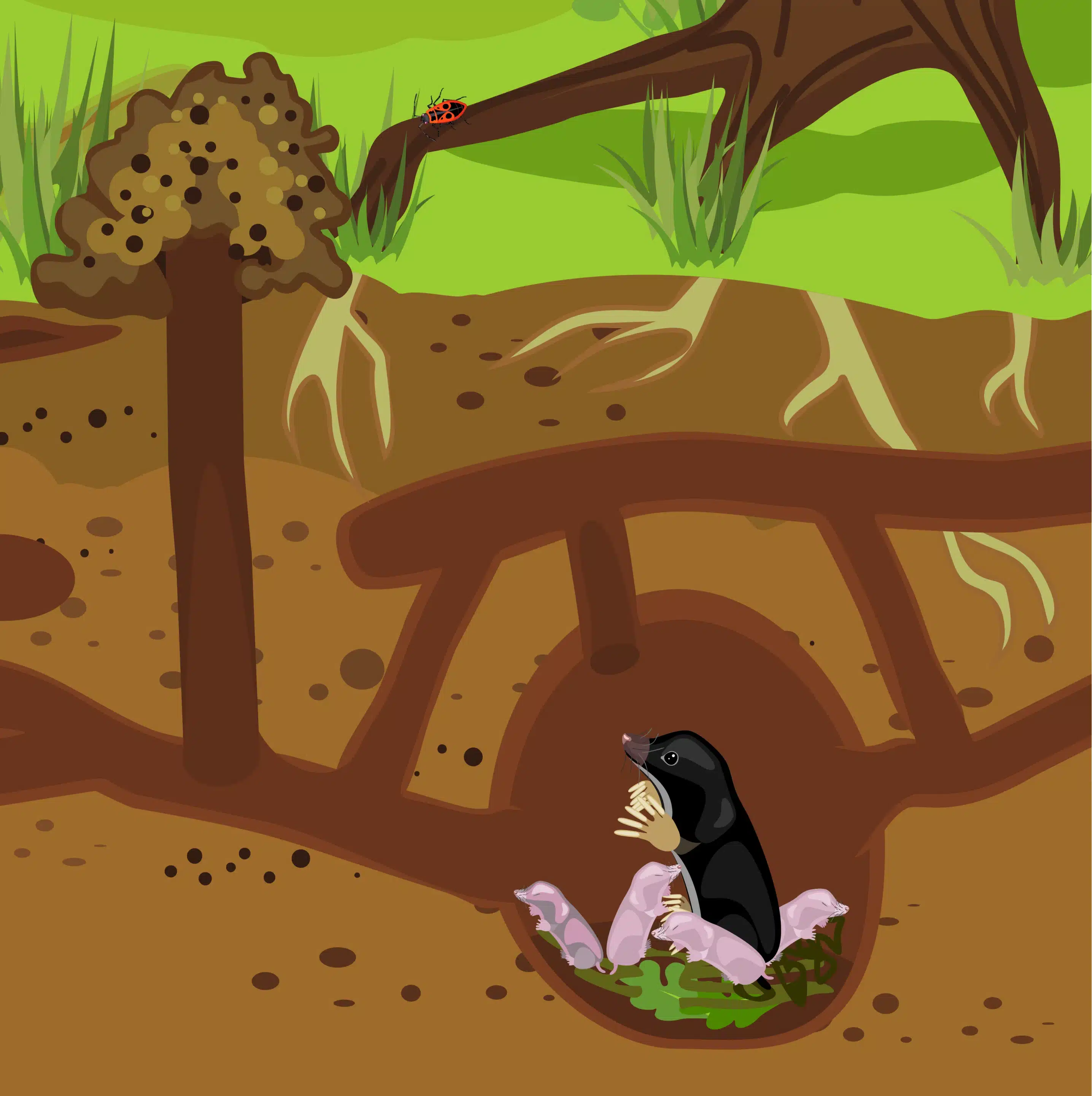 Illustration Maulwurf Babys in der Höhle - Wildtiere in Deutschland