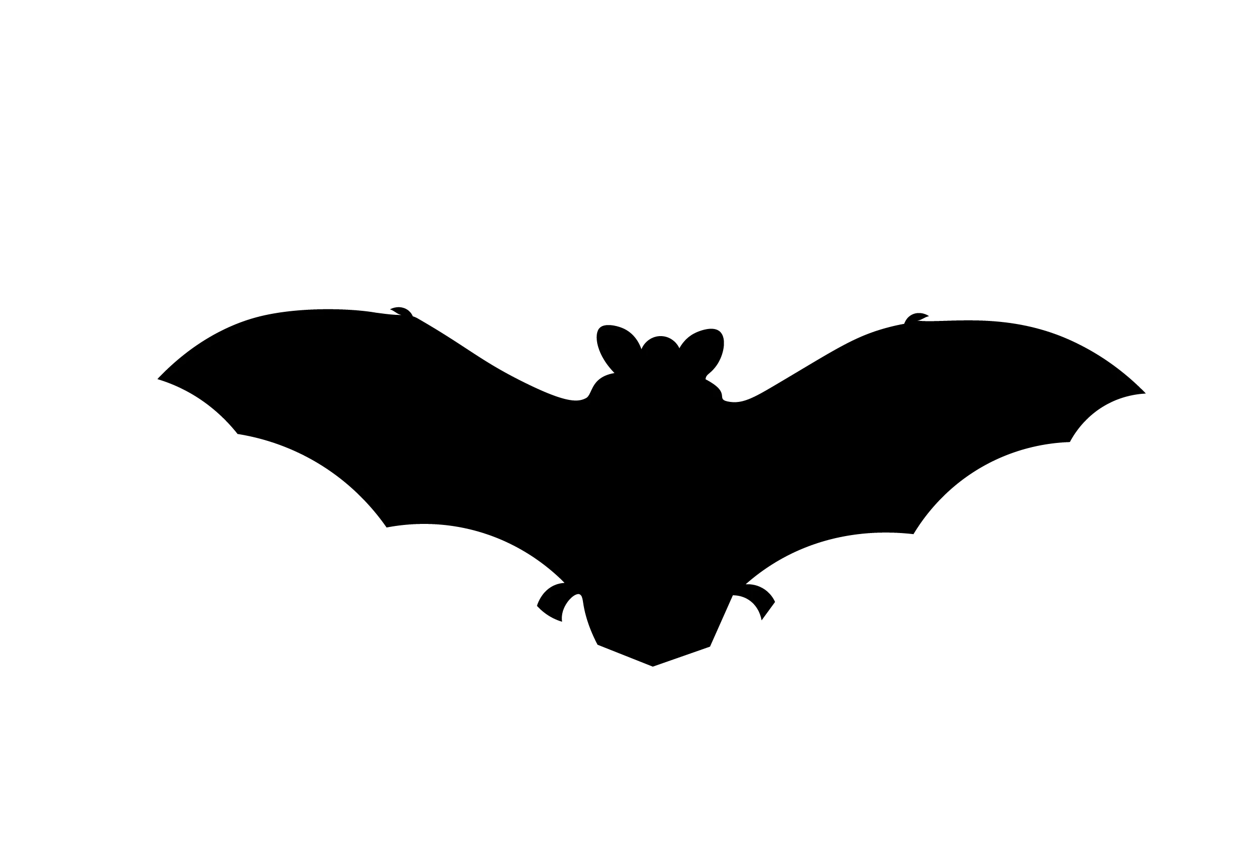 fledermaus silhouette - Wildtiere in Deutschland