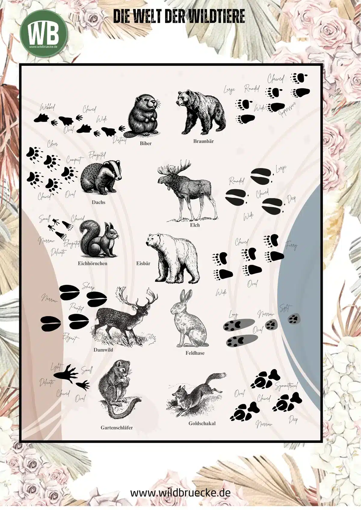 Poster Die Welt der Wildtiere (5) - Wildtiere in Europa