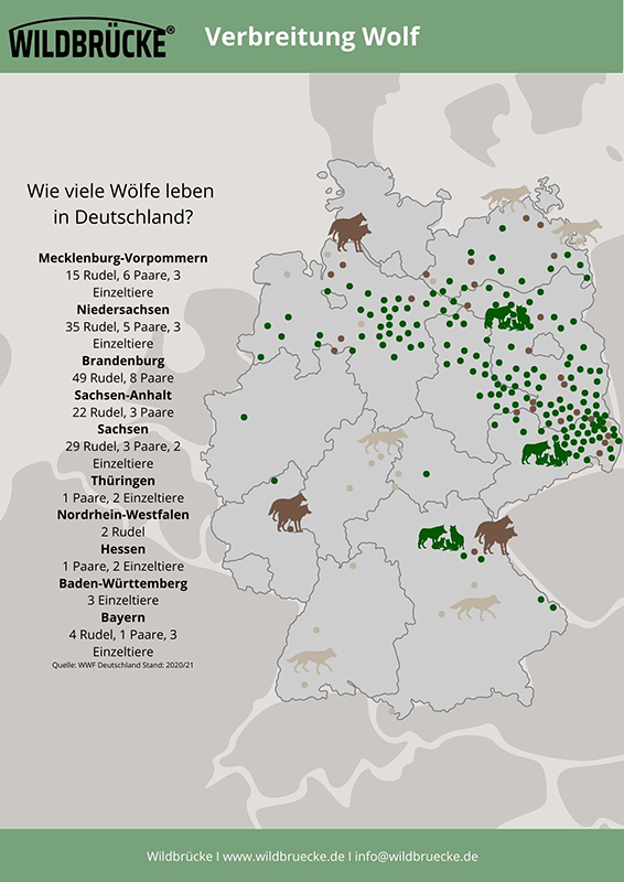 Wildbrücke zeigt die Verbreitung des Wolfes auf einer Karte