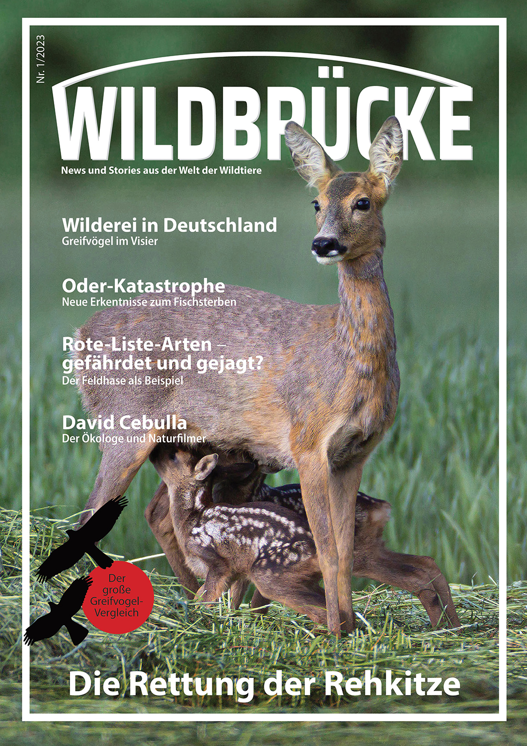 Wildbrücke Magazin News und Stories aus der Welt der Wildtiere