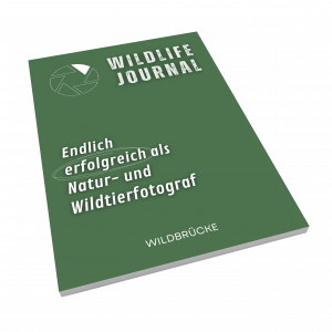 Wildlife Journal von Wildbrücke
