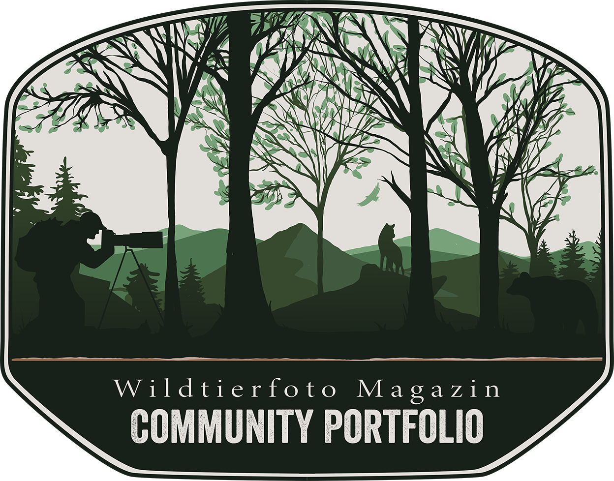 Wildtierfoto Community Portfolio