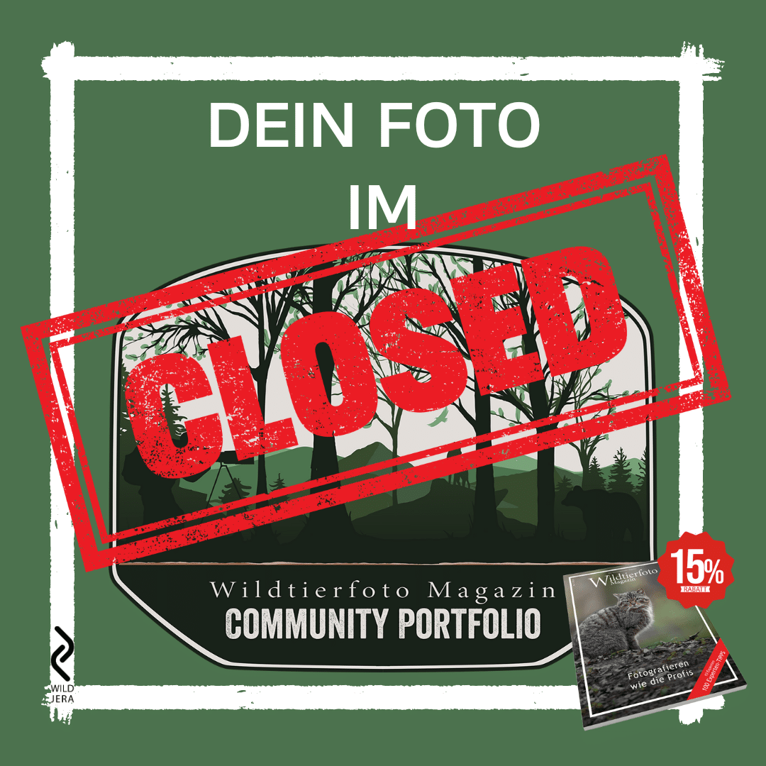 closed Dein Foto im