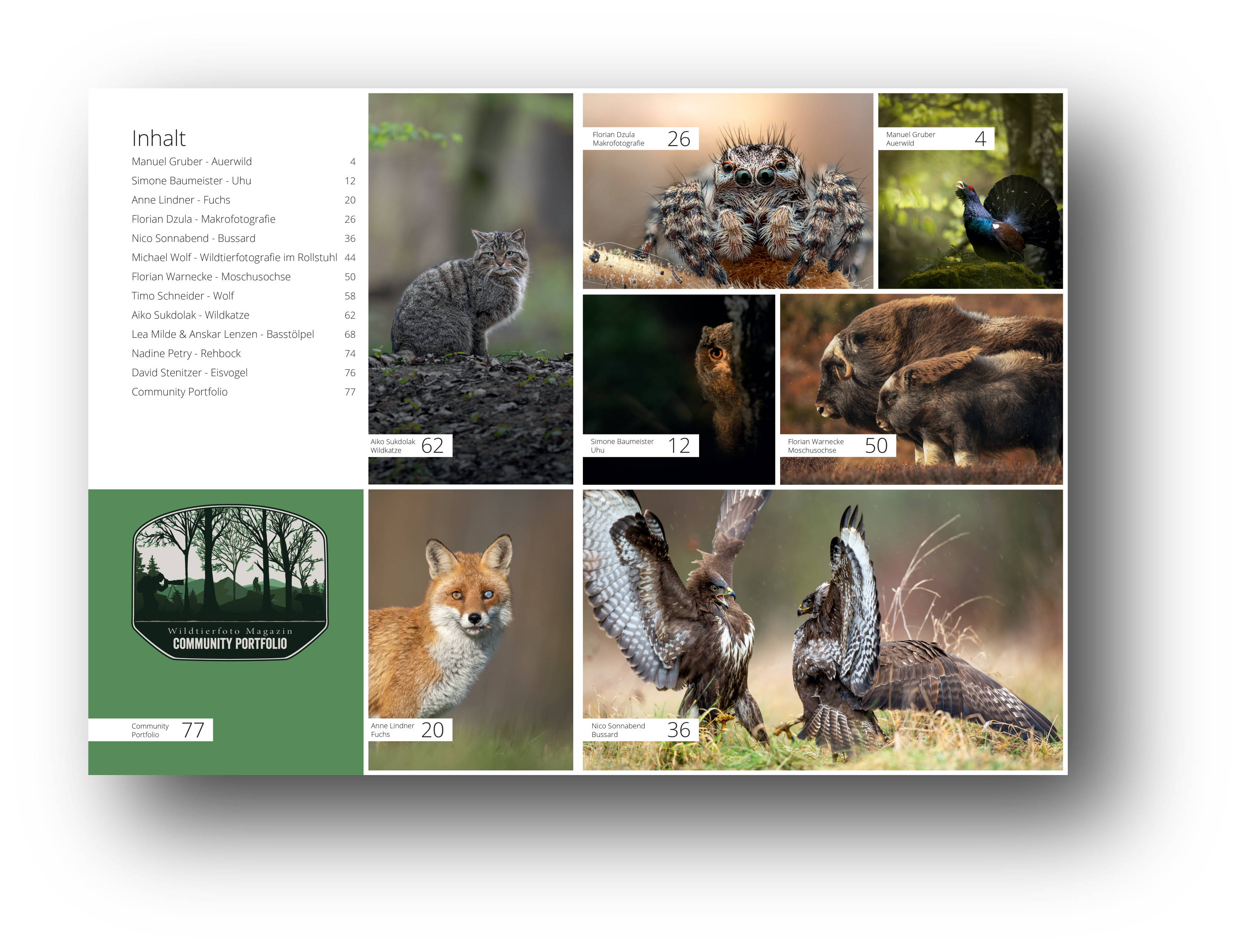 Inhaltsverzeichnis Wildtierfoto Magazin