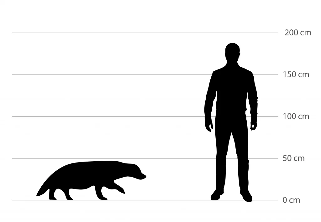 Boss oz qol ostidagilarni sikadi