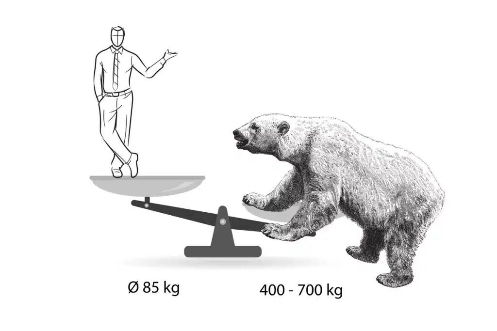 Eisbär Gewicht im Vergleich - Wildtiere in Europa