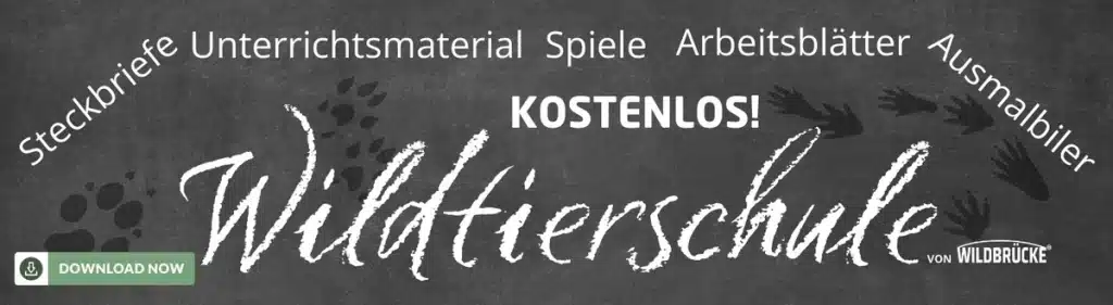 id001 Kostenlose Steckbriefe