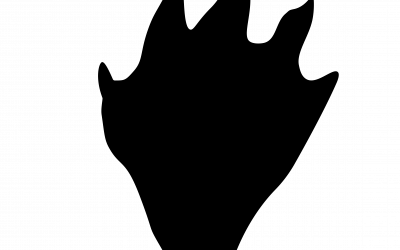 Fischotter Spur