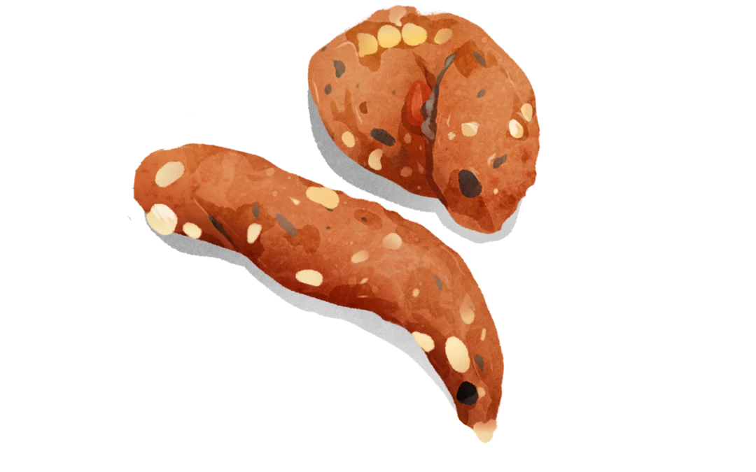 Steinmarder Losung – Wie erkennt man die Hinterlassenschaften?