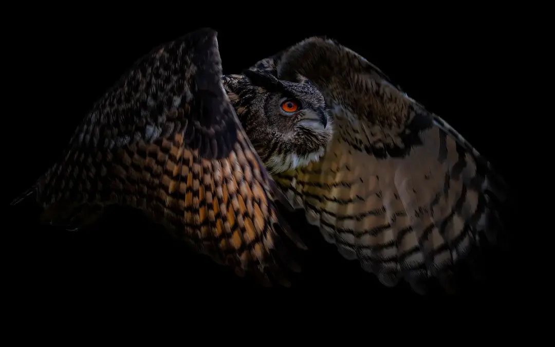 Warum das Uhu Geräusch für unsere Wälder so typisch ist