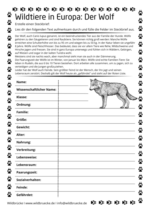 Arbeitsblatt Wolf Steckbrief - Wildtiere in Europa