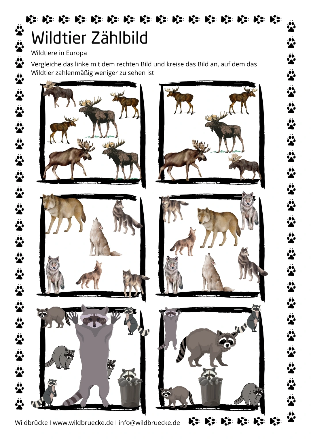 Arbeitsblatt Zählbild Wildtiere, elch, wolf, waschbär (1)