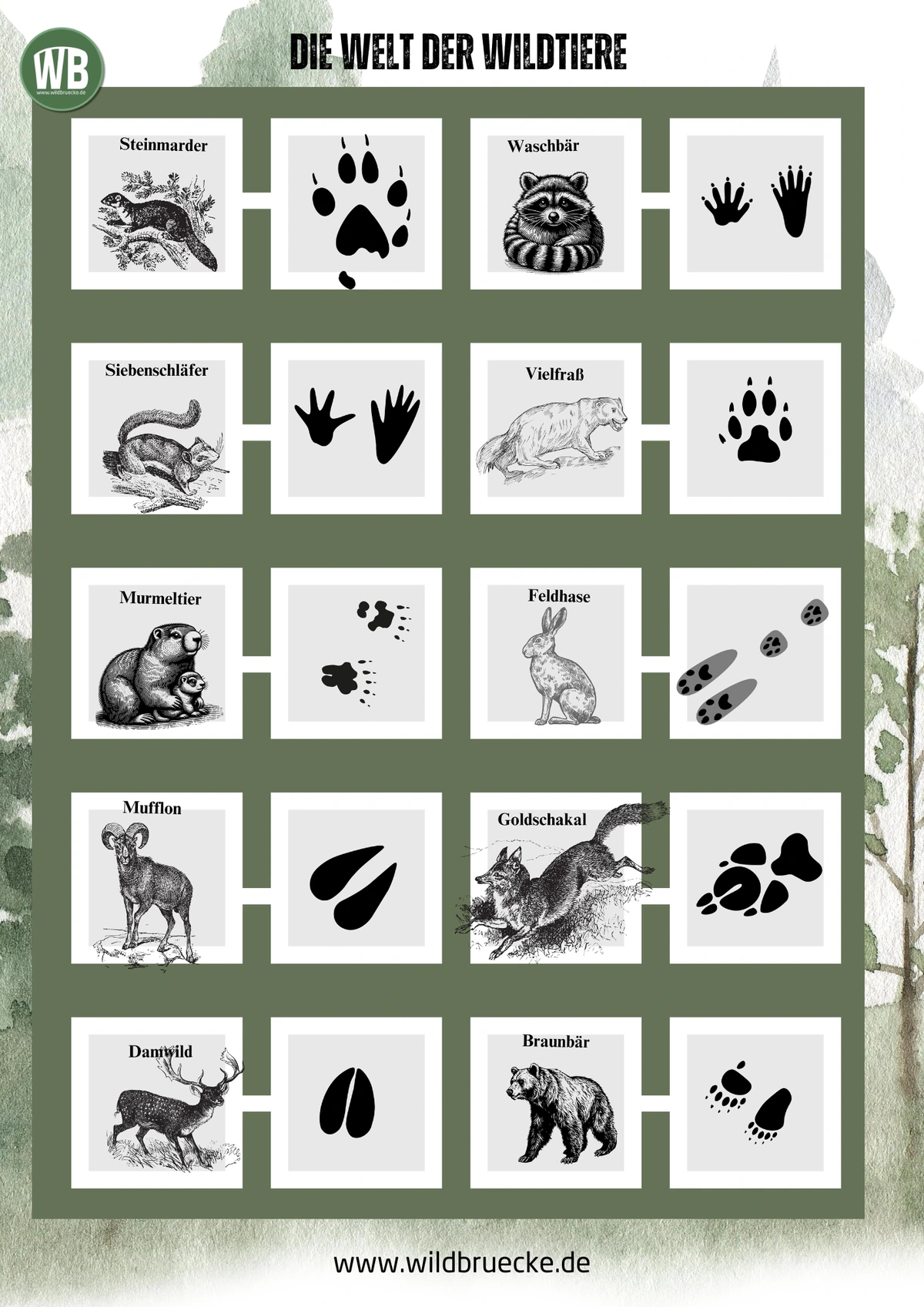 Poster Die Welt der Wildtiere (6) - Wildtiere in Europa