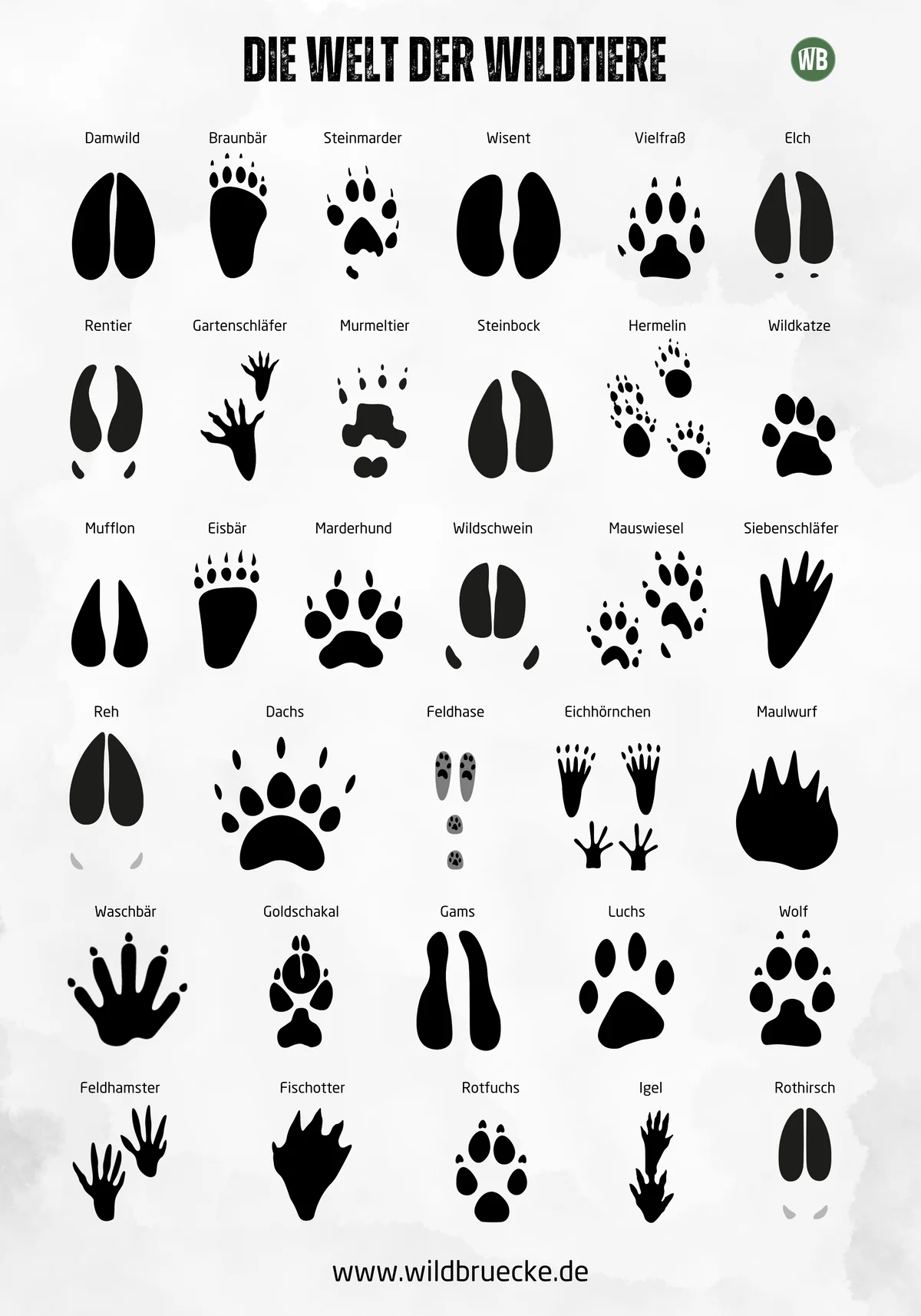 Poster Spuren - Wildtiere in Europa