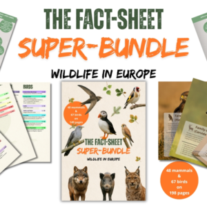 Beitragsbild Steckbrief Super-Bundle EN - Wildlife in Europe