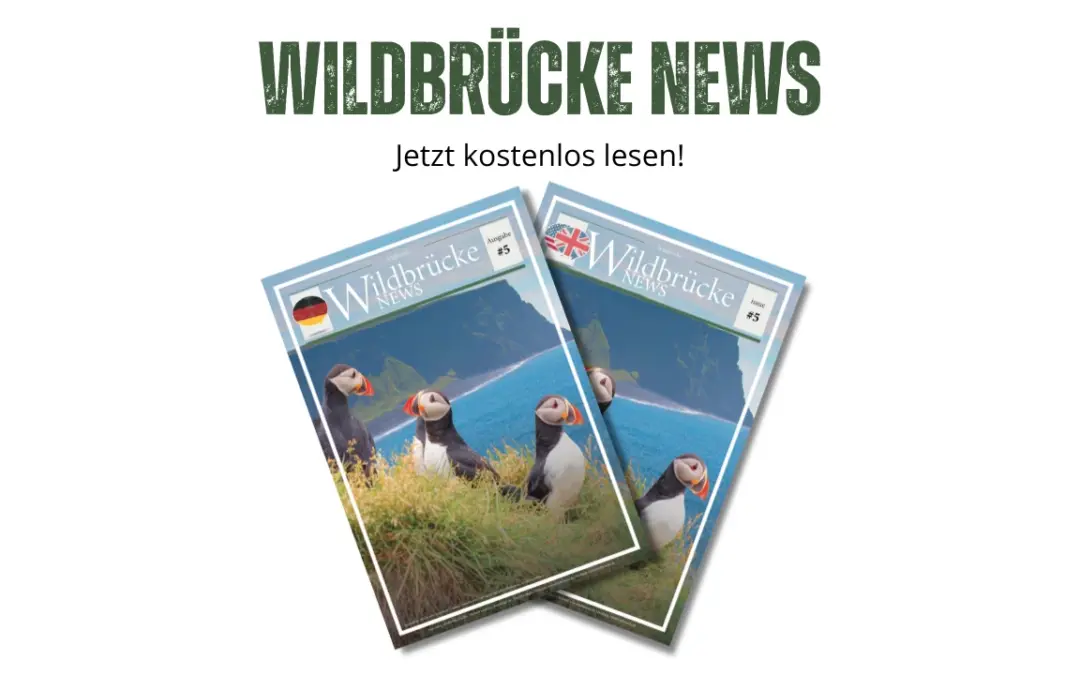 🌿 Wildbrücke News #5 – Highlights zu Wildtieren in Europa