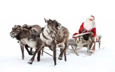 🎄 Weihnachten Rentier – Warum das Rentier zu Weihnachten unverzichtbar ist