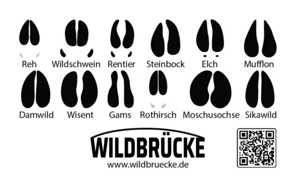 Wildtier Spuren Karte