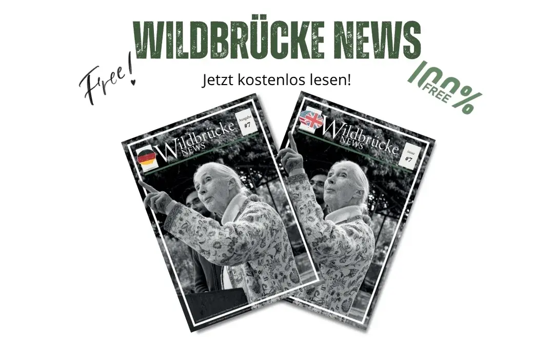 Jane Goodall, Störe und Kraniche – Wildbrücke News #7