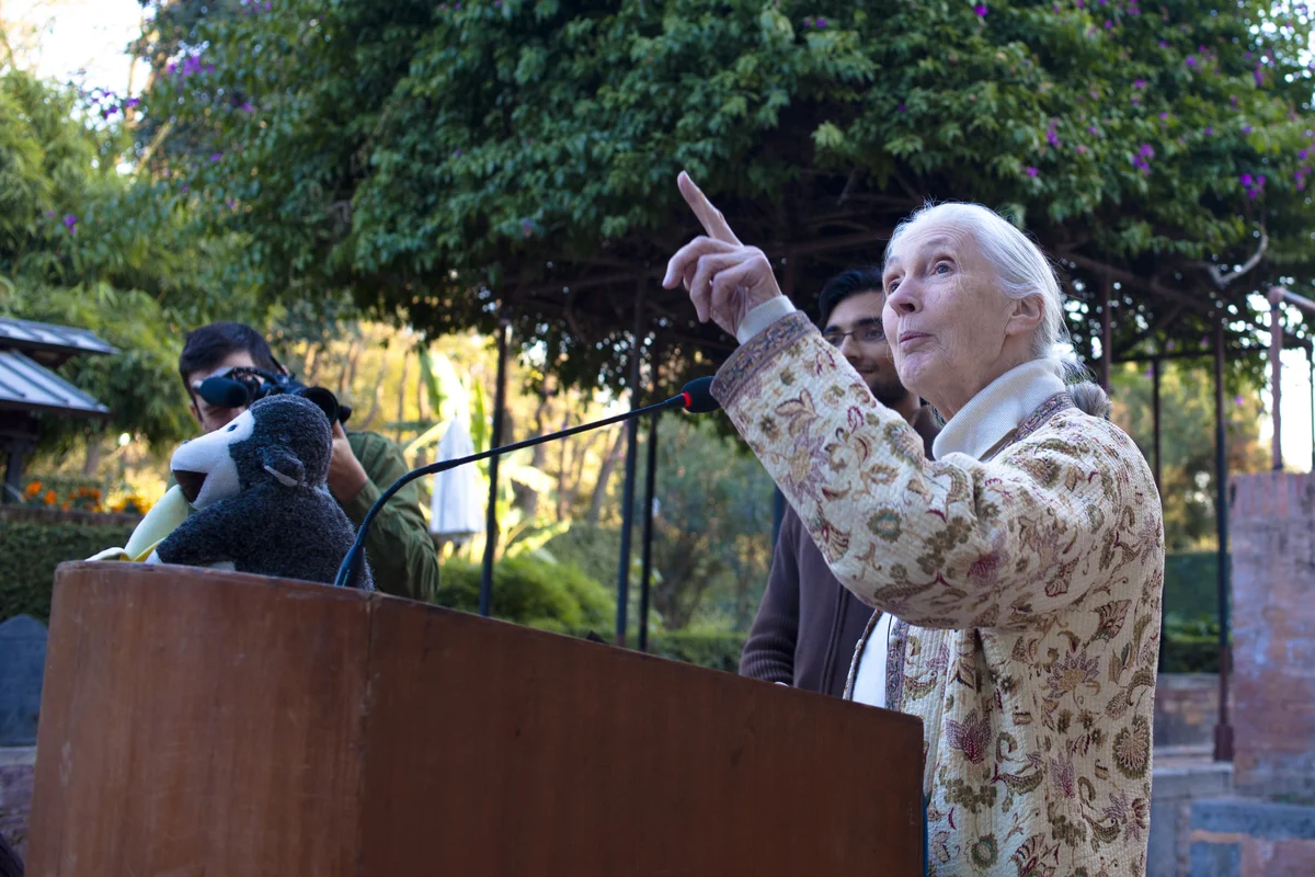 Jane Goodall