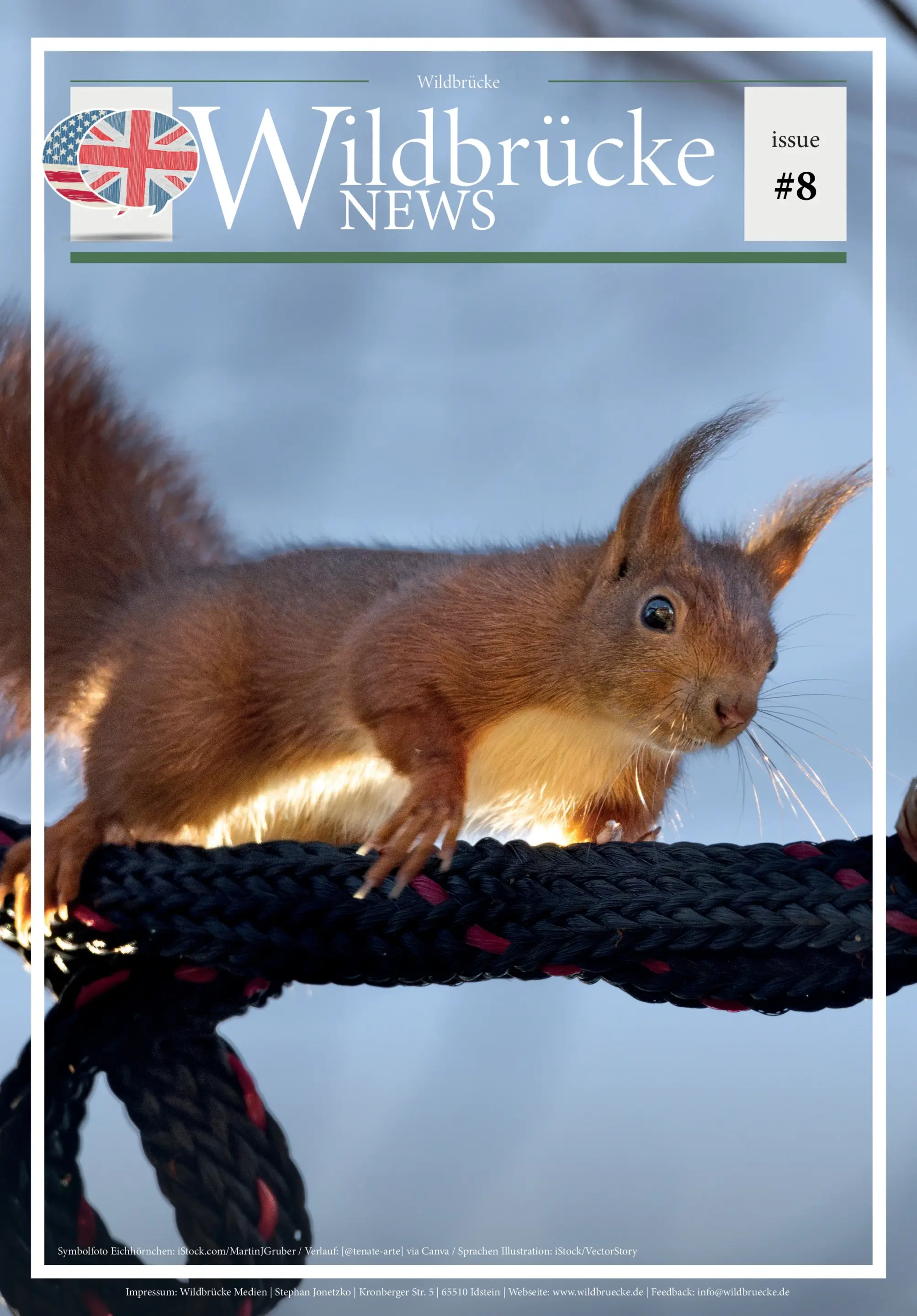 Partridge, Elks and Squirrels – Wildbrücke News #8 (2025)