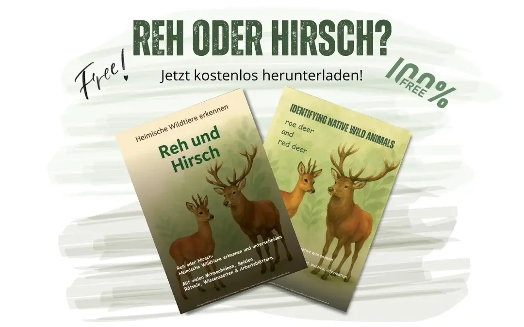 🌿 Kostenloses Lernmaterial „Reh oder Hirsch?“ – Wildtiere für Kinder verständlich erklärt