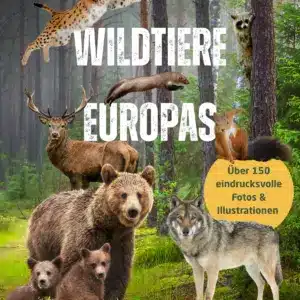 E-Book Wildtiere Europas
