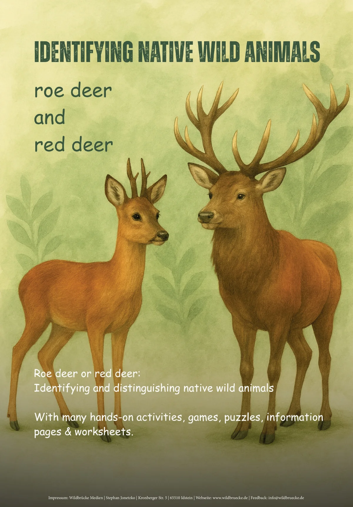 Material package Difference between roe deer and red deer - Wildtiere in Europa Material package Difference between roe deer and red deer - Wildtiere in Europa
