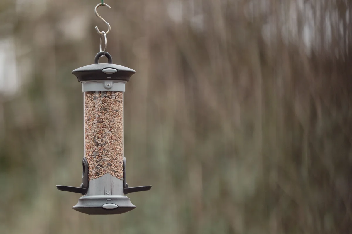 Vogelfutter Silo - Vögel in Europa Vogelfutter Silo - Vögel in Europa