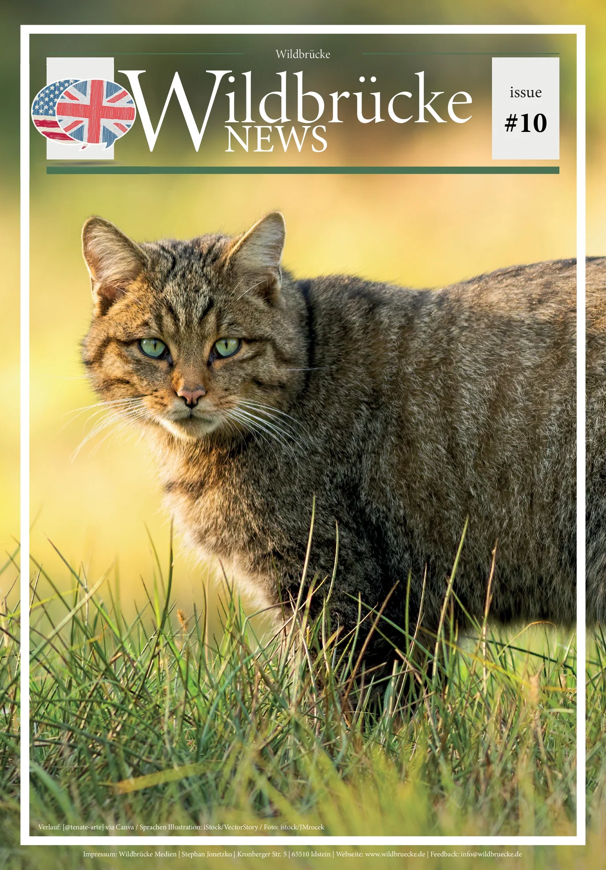 Wildbrücke News #10 - 2025 - EN - Wildtiere in Europa Wildbrücke News #10 - 2025 - EN - Wildtiere in Europa