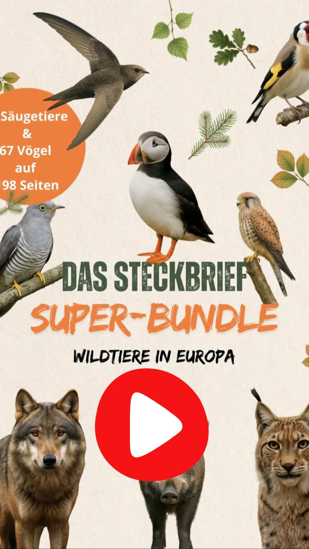 Das Steckbrief Super Bundle Video Thumbnail