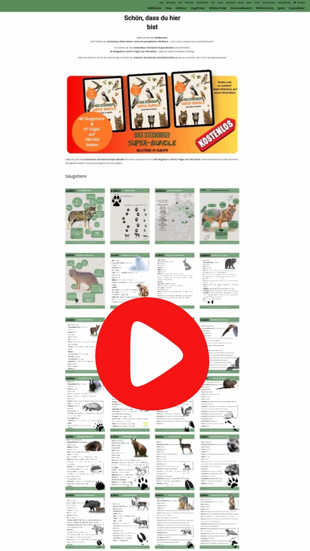 Einblick in den Downloadbereich mit den kostenlosen Steckbriefen Video Thumbnail