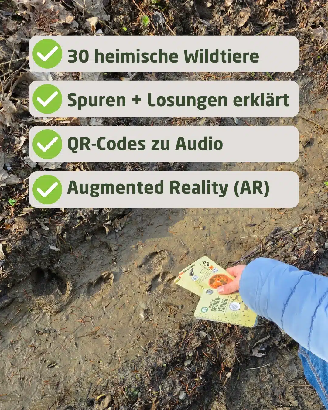30 heimische Wildtiere, Spuren und Losungen erklärt - Wildtiere in Europa