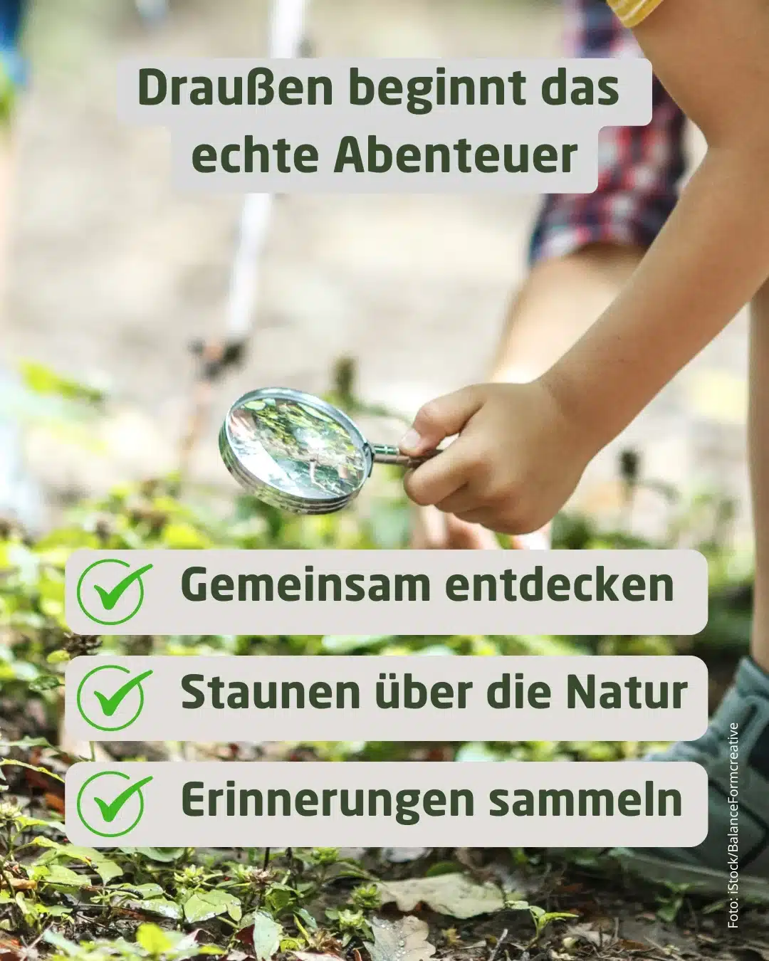 Draußen beginnt das echte Abenteuer - Wildtiere in Europa