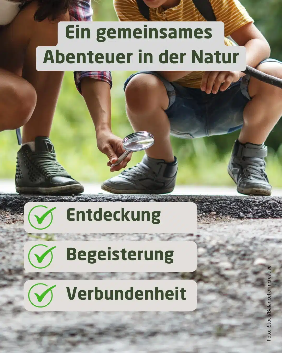 Ein gemeinsames Abenteuer in der Natur - Wildtiere in Europa