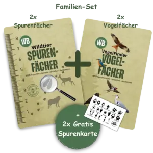 Familien Set 2x Spurenfächer, 2x Vogelfächer und 2x Spurenkarte