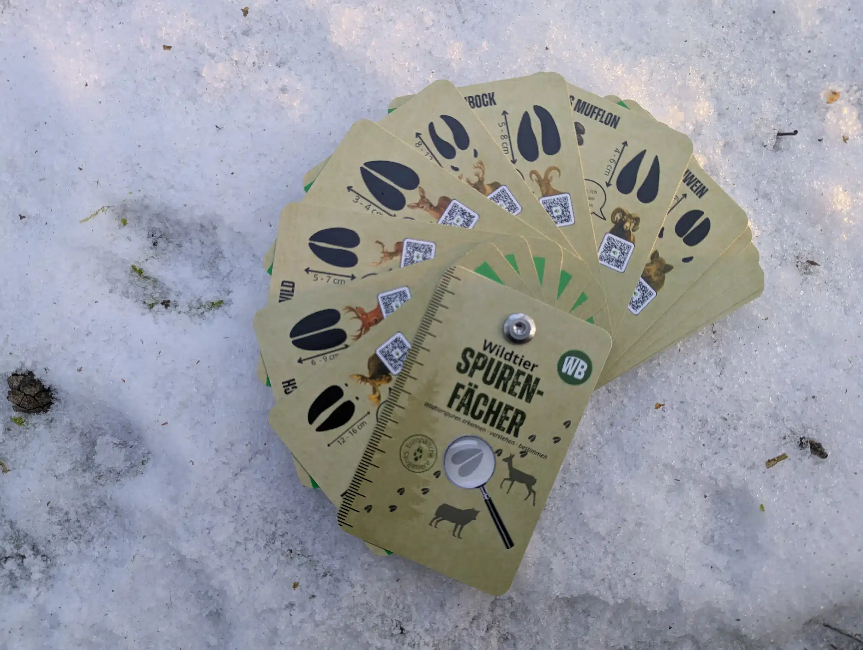 Spurenfächer im Einsatz im Schnee