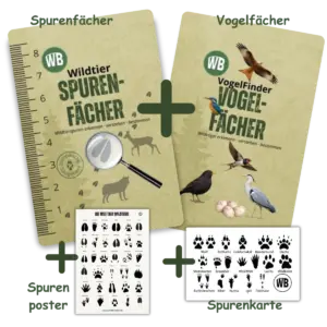 Naturdetektiv-Set mit Spurenfächer und Vogelfächer
