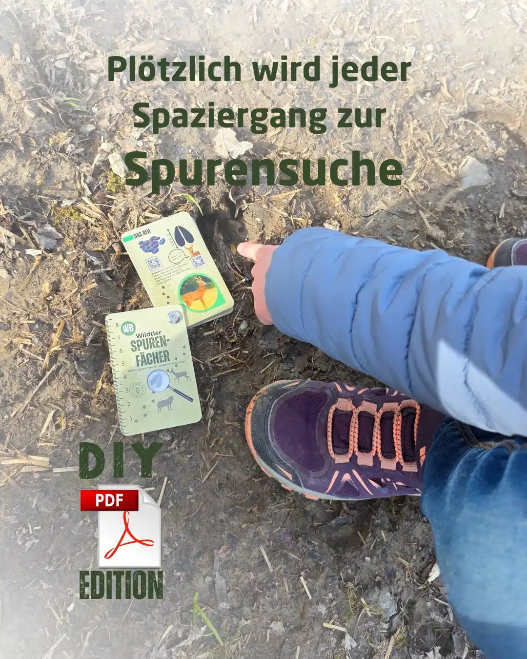 Plötzlich wird jeder Spaziergang zur Spurensuche DIY Edition - Wildtiere in Europa