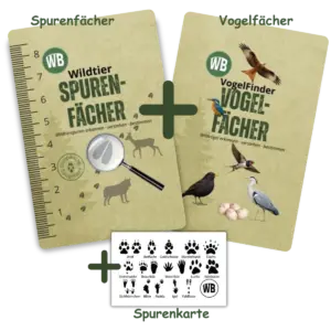Spurenfächer und Vogelfächer und Spurenkarte - Wildtiere in Europa