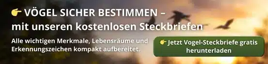 Vögel sicher bestimmen - Vögel in Europa Vögel sicher bestimmen - Vögel in Europa