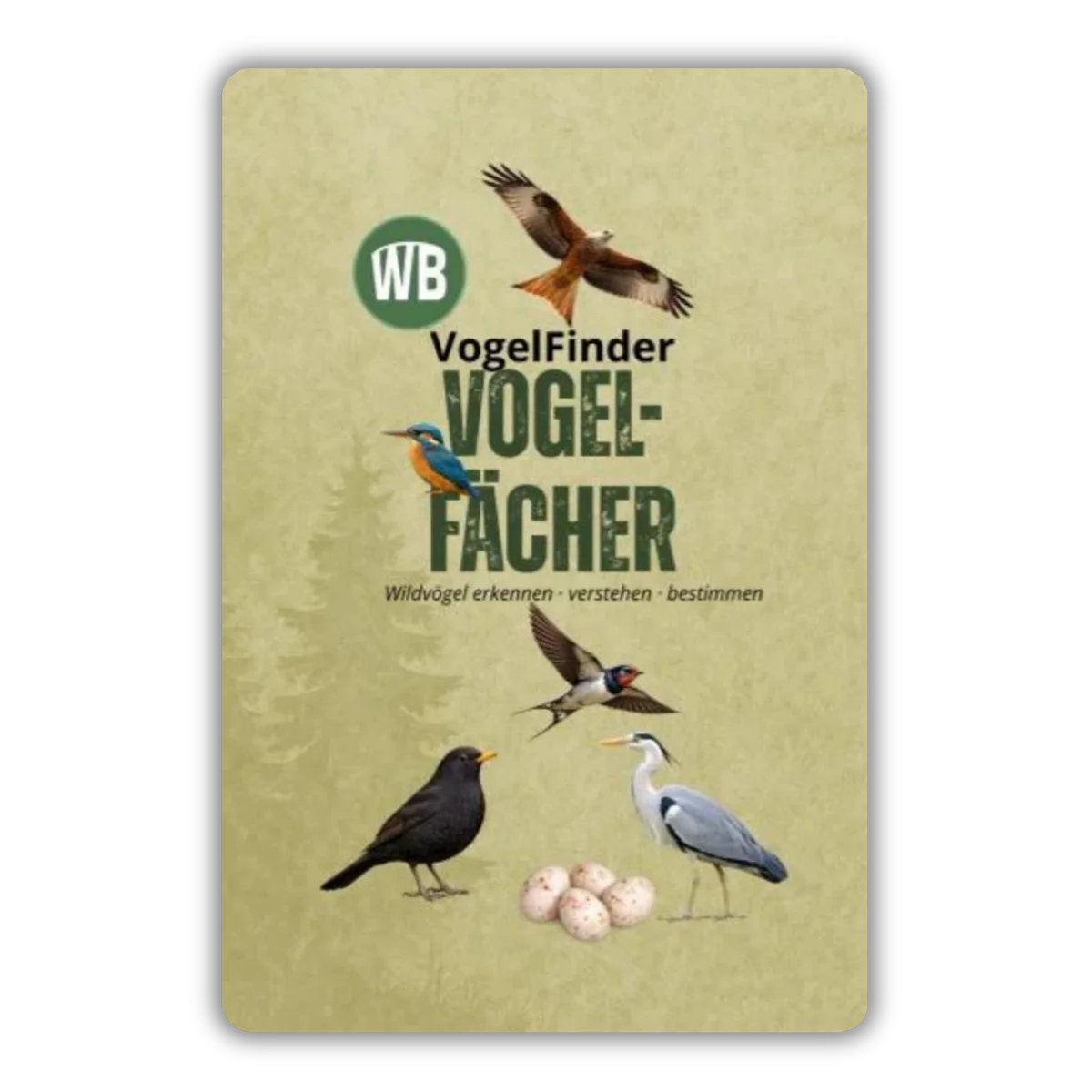 Vogelfächer
