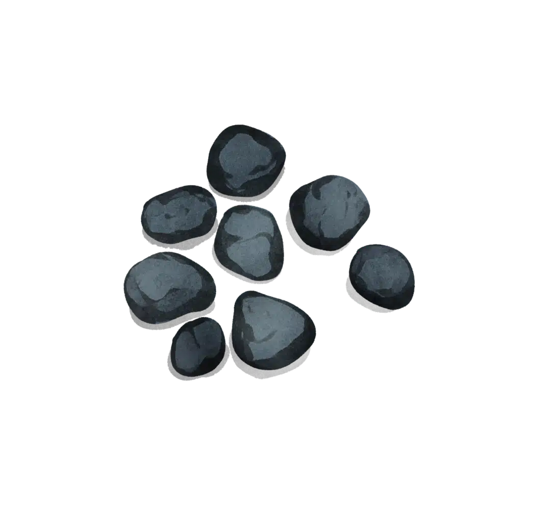 Wildschwein Losung - Wildtiere in Europa