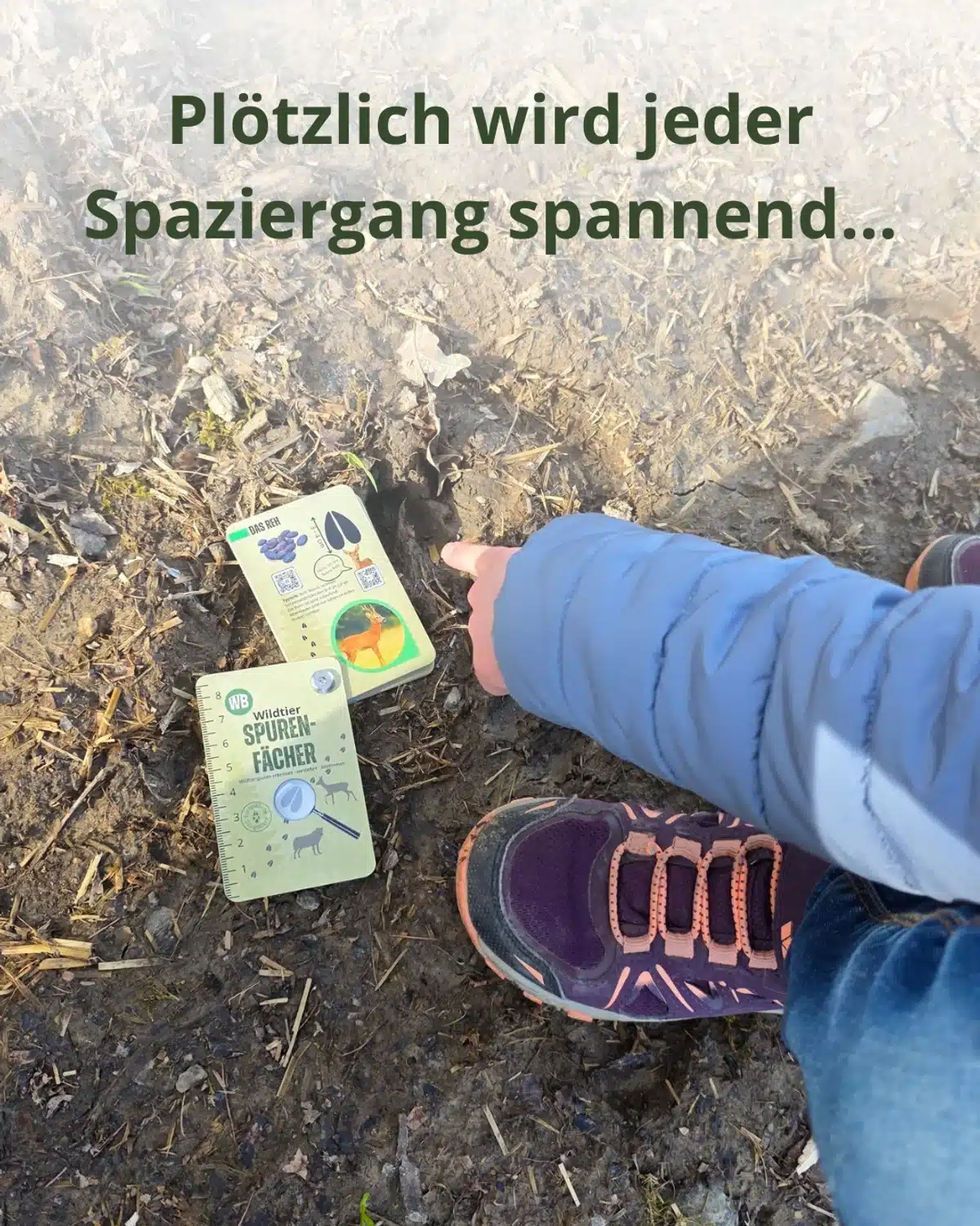 Was war das für ein Tier?