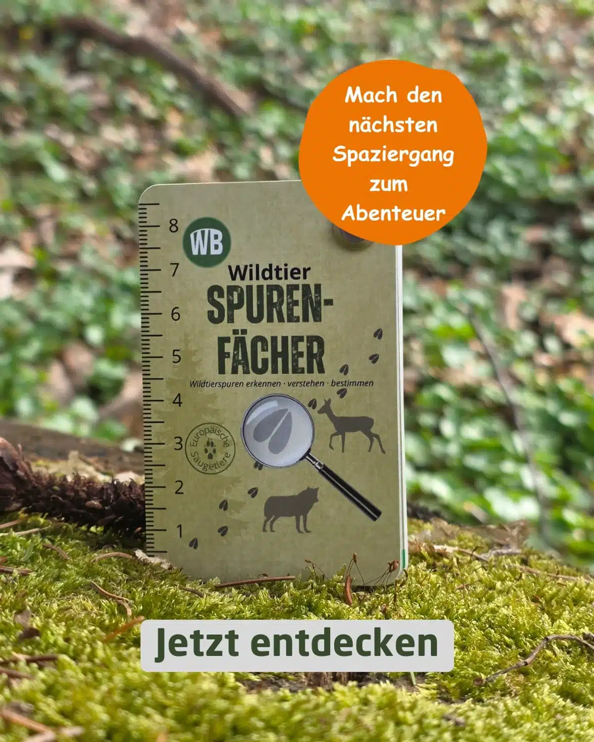 Jetzt entdecken