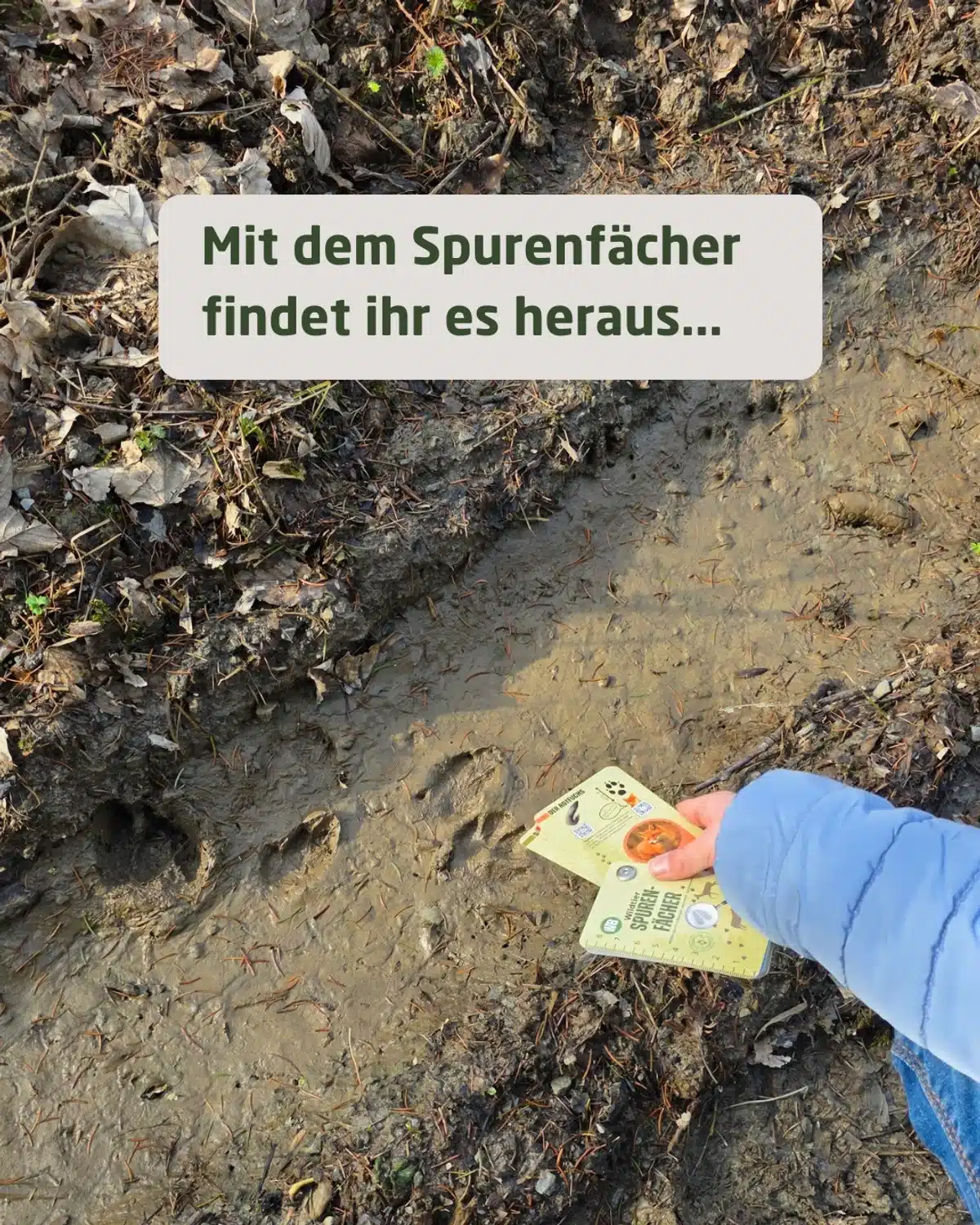 Spaziergang wird zum Abenteuer